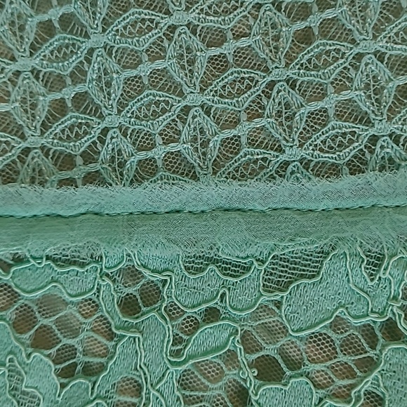 BCBG Maxazria soft green lace fully lined dress - Picture 4 of 12